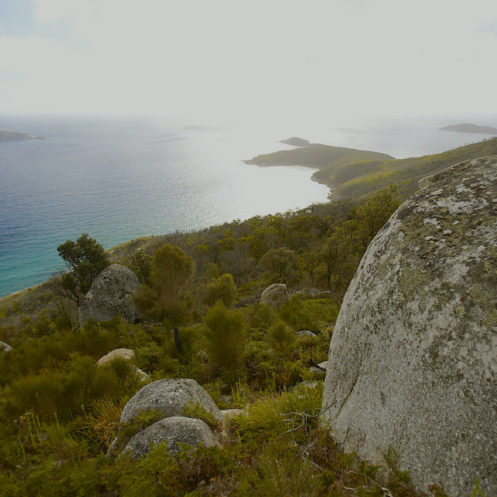 Carrousel - Photos Australie -9