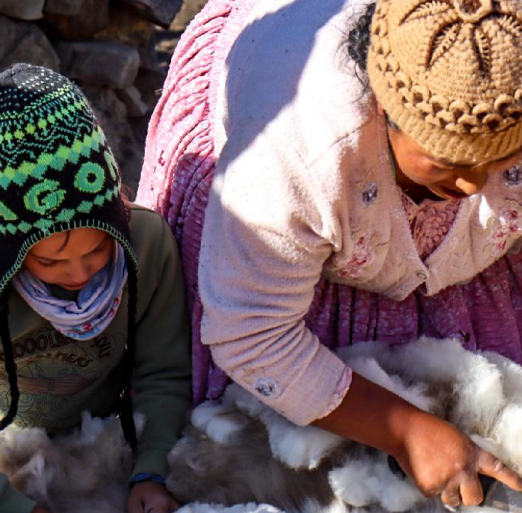 Carrousel - Photo Voyage Bolivie 4