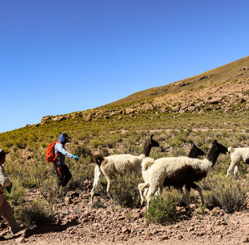 Carrousel - Photo Voyage Bolivie 14