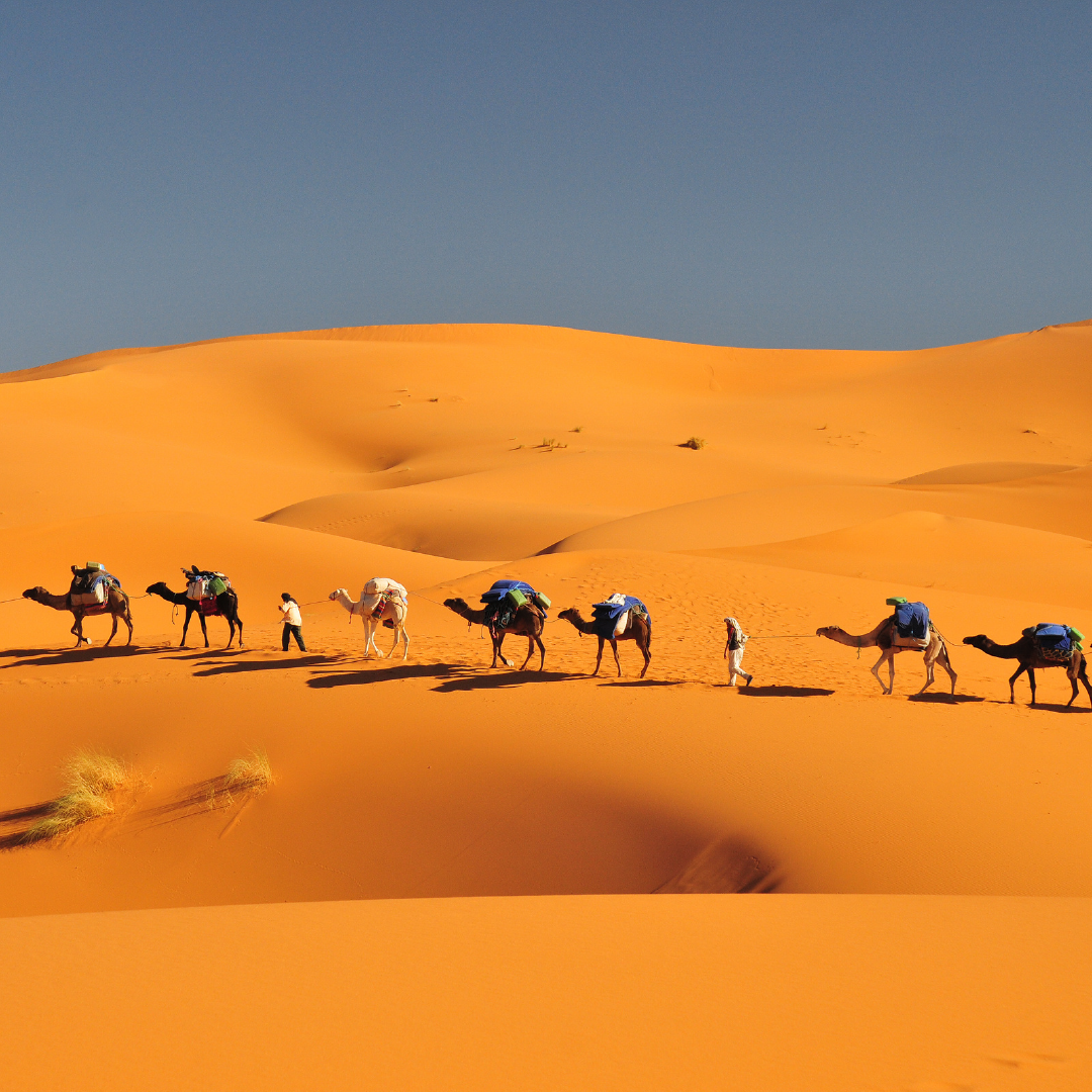 Maroc - Terra Gaïa