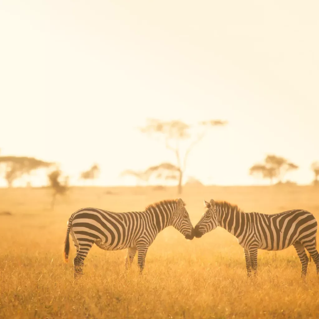 photos-afrique_06