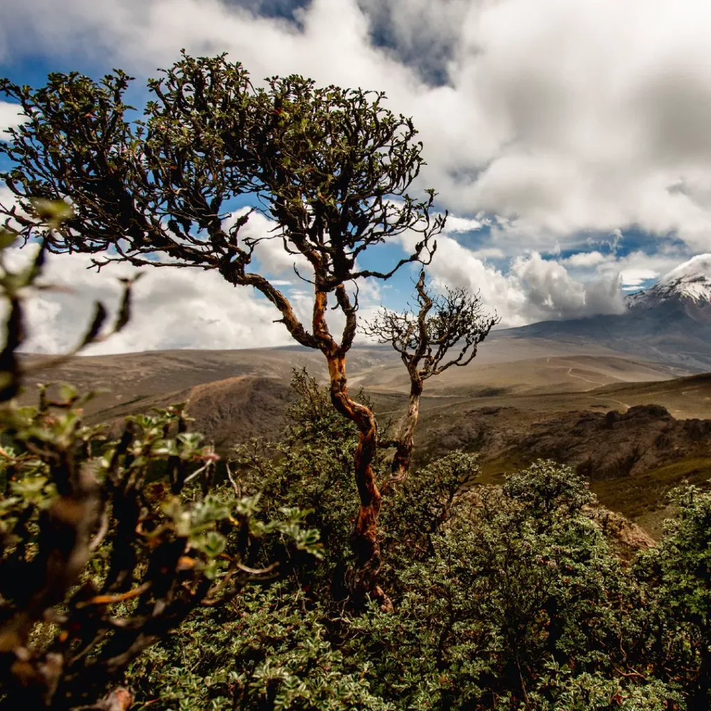 Equateur voyage extraordinaire